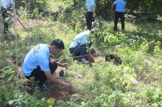 2. ปลูกต้นไม้วันแม่แห่งชาติ ในวันที่ 2 สิงหาคม 2568