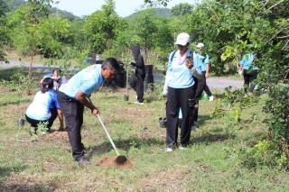 14. ปลูกต้นไม้วันแม่แห่งชาติ ในวันที่ 2 สิงหาคม 2568