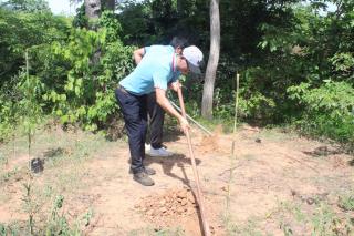 15. ปลูกต้นไม้วันแม่แห่งชาติ ในวันที่ 2 สิงหาคม 2568