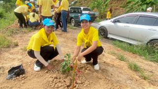 3. ปลูกต้นไม้วันแม่แห่งชาติ ในวันที่ 8 สิงหาคม 2568
