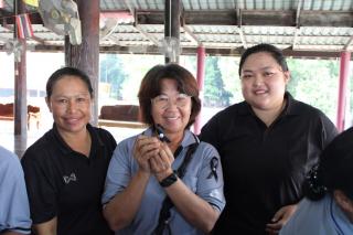 8. สอนทำริบบิ้นไว้อาลัย