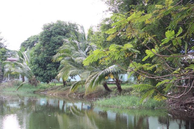 1. โครงการจิตอาสาพัฒนา สกร.ระดับอำเภอสรรพยา  &ldquo;รักษ์น้ำสืบสานปณิธานแม่ของแผ่นดิน&rdquo;