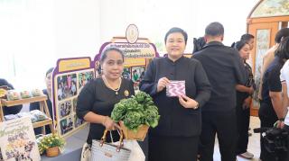 11. งานวันคนพิการสากลจังหวัดชัยนาท ประจำปี 2568