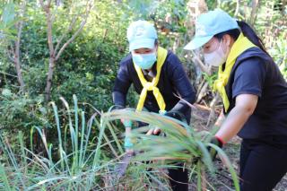 30. ร่วมโครงการจิตอาสา  เนื่องในวันคล้ายวันปราบดาภิเษก
