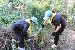 31. ร่วมโครงการจิตอาสา  เนื่องในวันคล้ายวันปราบดาภิเษก