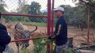 5. โครงการค่ายพัฒนาผู้เรียน สกร. อนุรักษ์ป่า อนุรักษ์ต้นน้ำ และสัตว์ป่า สืบสานพระราชปณิธาน