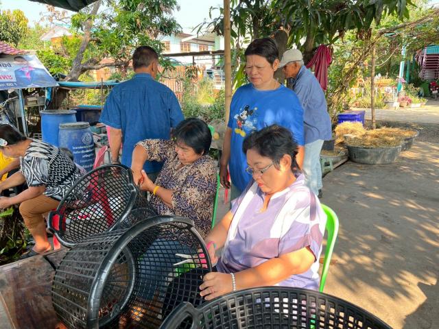 3. โครงการเรียนรู้ตามหลักปรัชญาของเศรษฐกิจพอเพียง (การเพาะเห็ดฟางในตะกร้า)