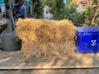 1. โครงการเรียนรู้ตามหลักปรัชญาของเศรษฐกิจพอเพียง (การเพาะเห็ดฟางในตะกร้า)