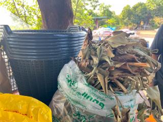 2. โครงการเรียนรู้ตามหลักปรัชญาของเศรษฐกิจพอเพียง (การเพาะเห็ดฟางในตะกร้า)