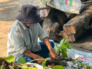 6. โครงการเรียนรู้ตามหลักปรัชญาของเศรษฐกิจพอเพียง (การเพาะเห็ดฟางในตะกร้า)