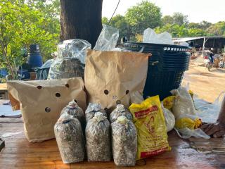 12. โครงการเรียนรู้ตามหลักปรัชญาของเศรษฐกิจพอเพียง (การเพาะเห็ดฟางในตะกร้า)