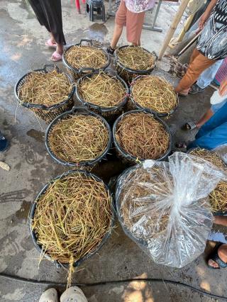 19. โครงการเรียนรู้ตามหลักปรัชญาของเศรษฐกิจพอเพียง (การเพาะเห็ดฟางในตะกร้า)