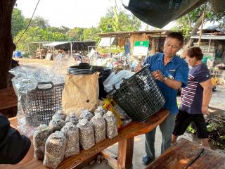 25. โครงการเรียนรู้ตามหลักปรัชญาของเศรษฐกิจพอเพียง (การเพาะเห็ดฟางในตะกร้า)