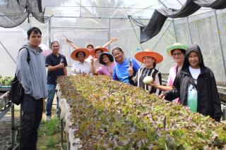 3. โครงการศูนย์ฝึกอาชีพชุมชน หลักสูตรการปลูกพืชผักเกษตรอินทรีย์ธรรมชาติ