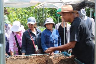 9. โครงการศูนย์ฝึกอาชีพชุมชน หลักสูตรการปลูกพืชผักเกษตรอินทรีย์ธรรมชาติ