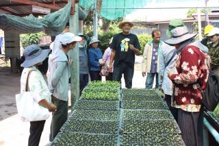 11. โครงการศูนย์ฝึกอาชีพชุมชน หลักสูตรการปลูกพืชผักเกษตรอินทรีย์ธรรมชาติ