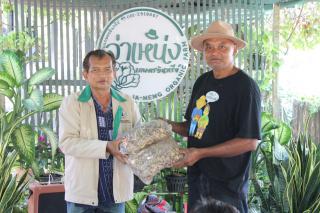 12. โครงการศูนย์ฝึกอาชีพชุมชน หลักสูตรการปลูกพืชผักเกษตรอินทรีย์ธรรมชาติ