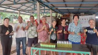 6. หลักสูตรการทำยาหม่องเขียว  และน้ำมันนวดสมุนไพร