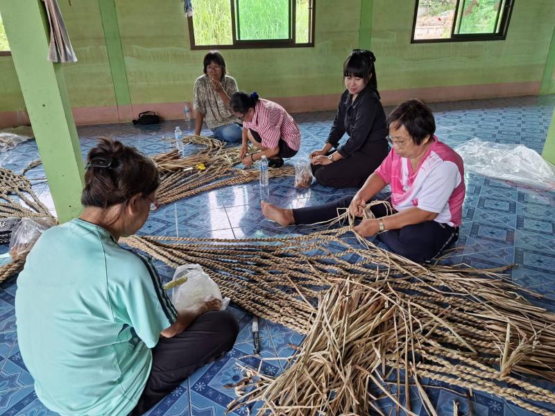 1. โครงการพัฒนาอาขีพชุมชน  "หลักสูตรการสานเปลญวนจากผักตบชวา"