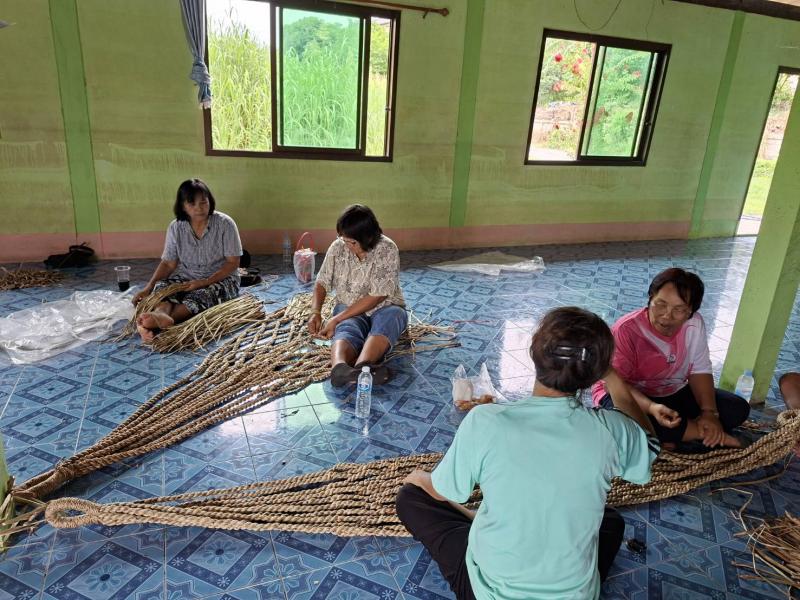 2. โครงการพัฒนาอาขีพชุมชน  "หลักสูตรการสานเปลญวนจากผักตบชวา"