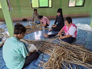 1. โครงการพัฒนาอาขีพชุมชน  "หลักสูตรการสานเปลญวนจากผักตบชวา"